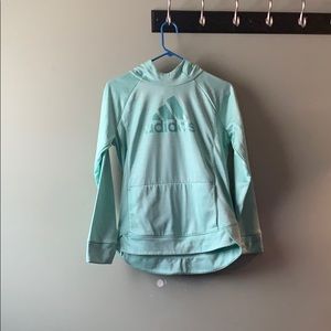 Adidas teal hoodie.